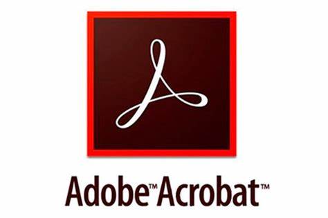 Adobe Acrobat Standard DC for teams - 1 year subscription license